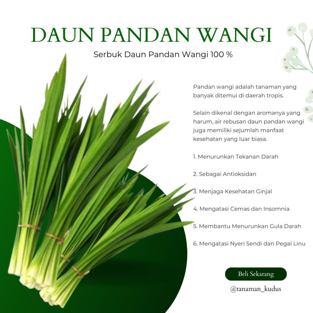 

BUBUK / SERBUK DAUN PANDAN WANGI ASLI tanpa campuran 50 gram