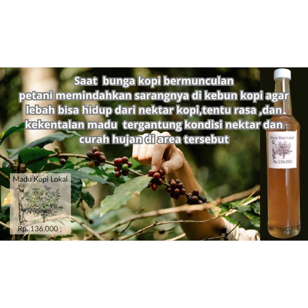 

Madu kopi Lokal