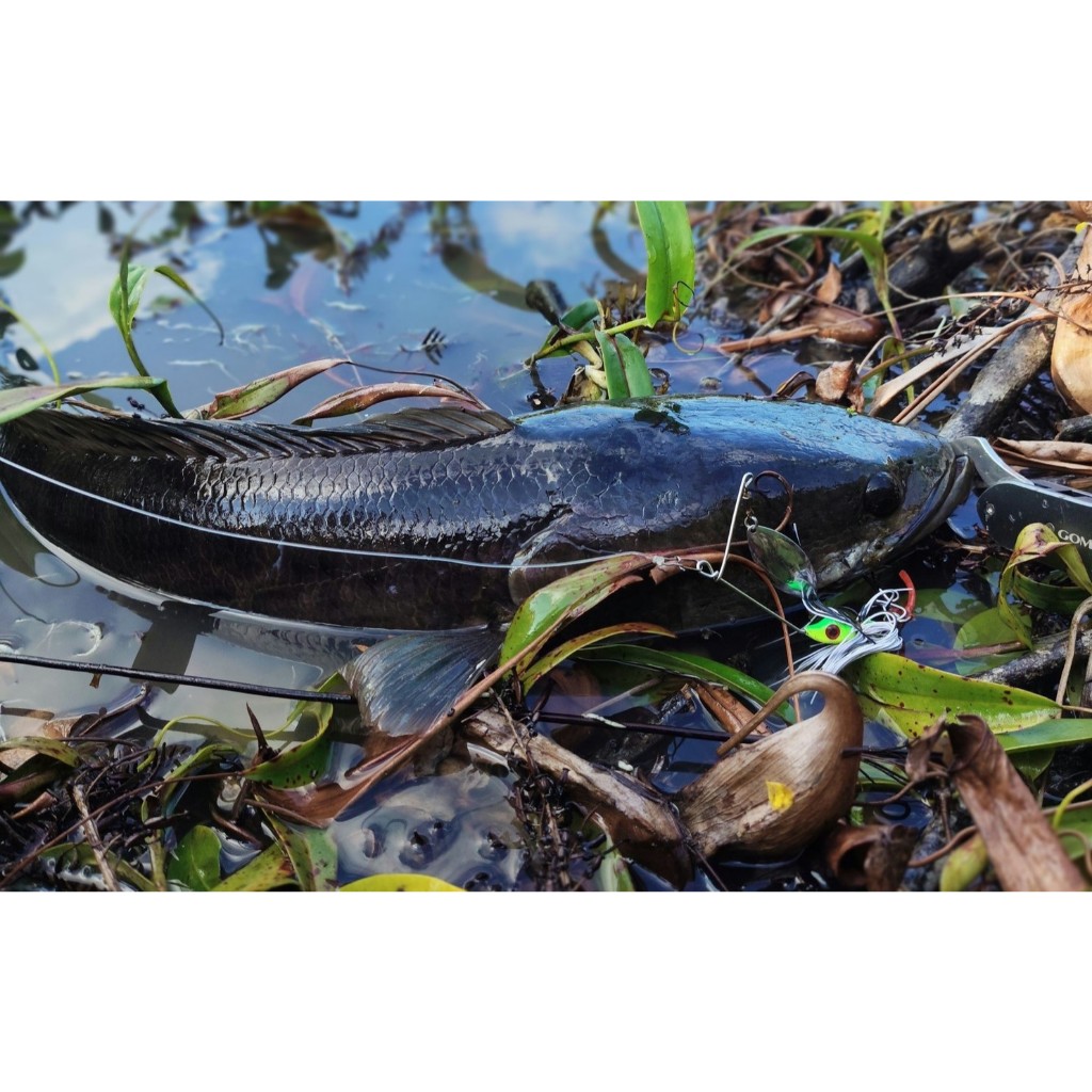 Spinner Bait Mini 10 GR Umpan Gabus Tenggelam