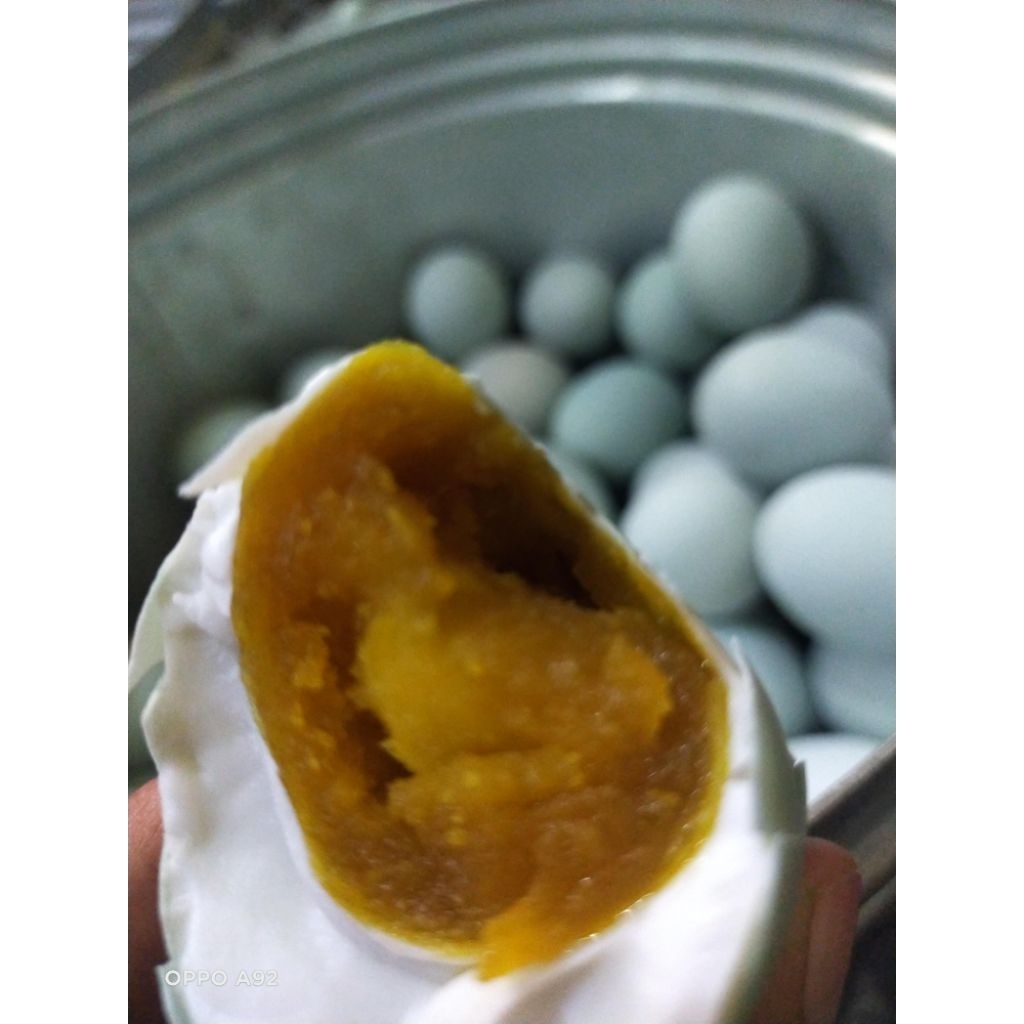 

TELUR ASIN MASIR LUMER