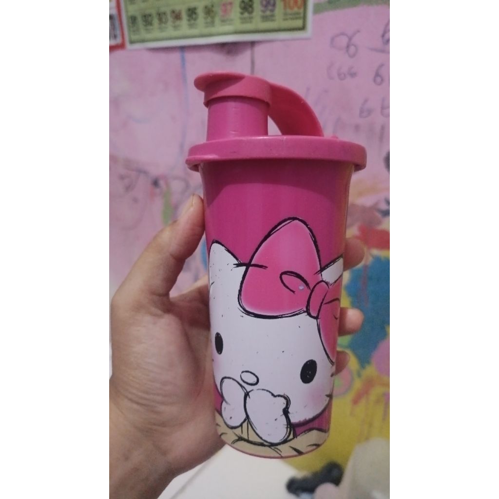 fun tumblr tupperware botol minum anak balita TK SD PL second
