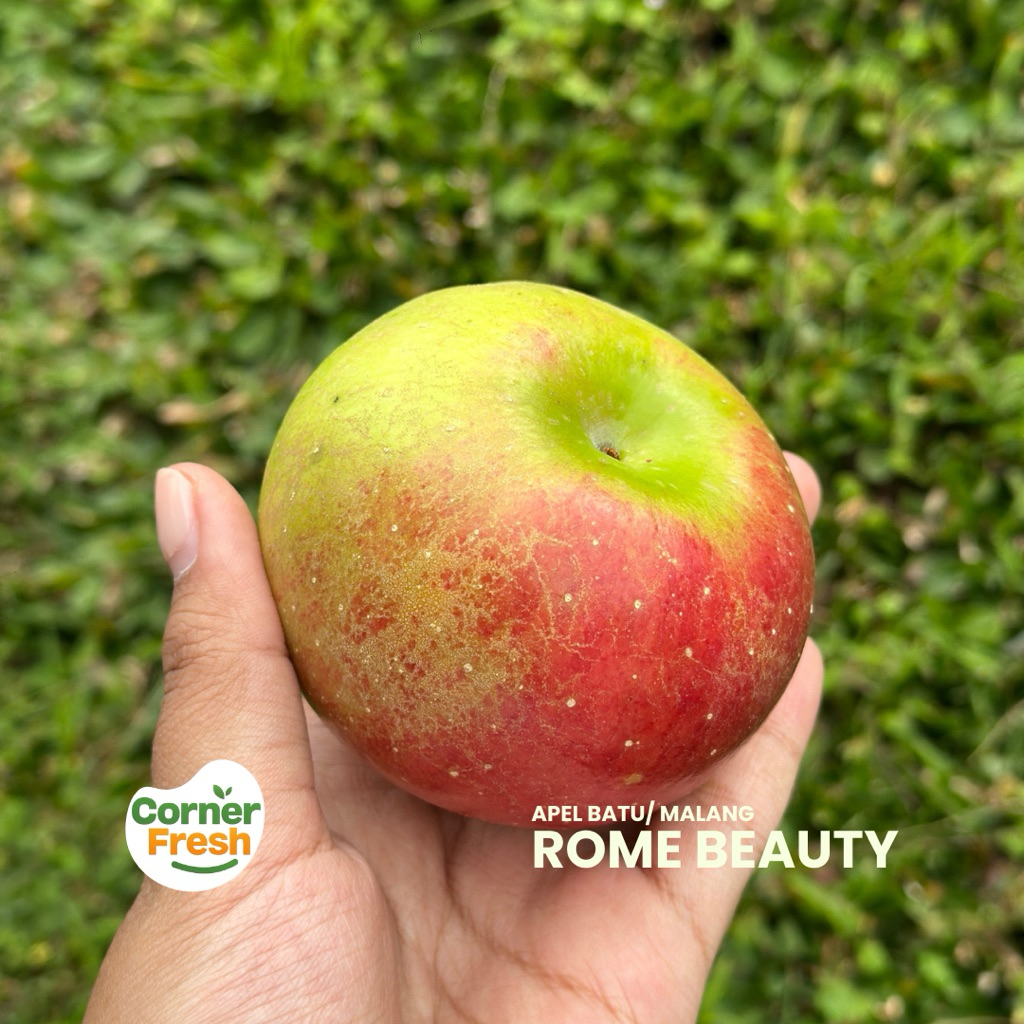 

Apel Malang Rome Beauty ukuran Besar 1kg isi 8-11 Buah