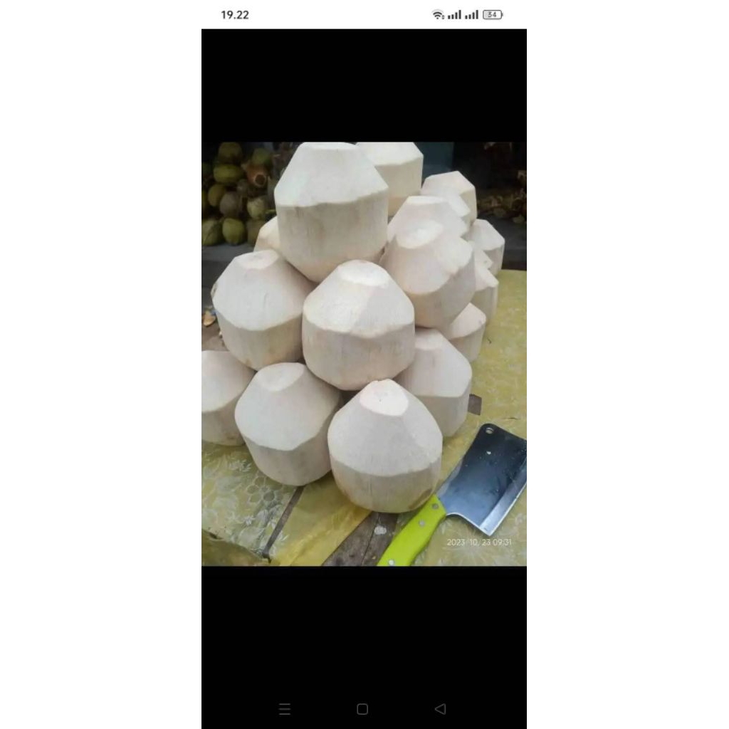 

kelapa muda dan hijau dari baduy rangkasbitung banten