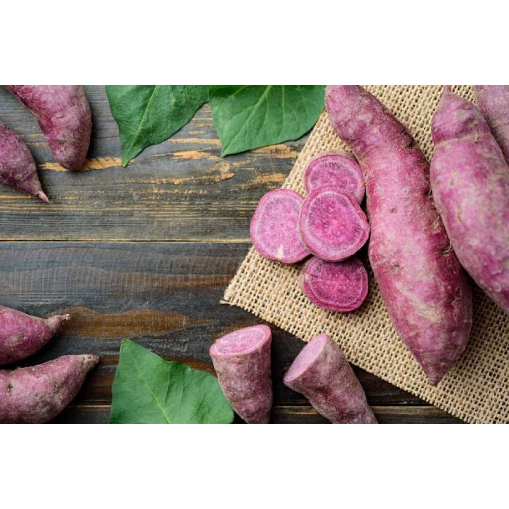 

Ubi Ungu Spek ukuran besar Kemasan 1 Kg bisa Cod