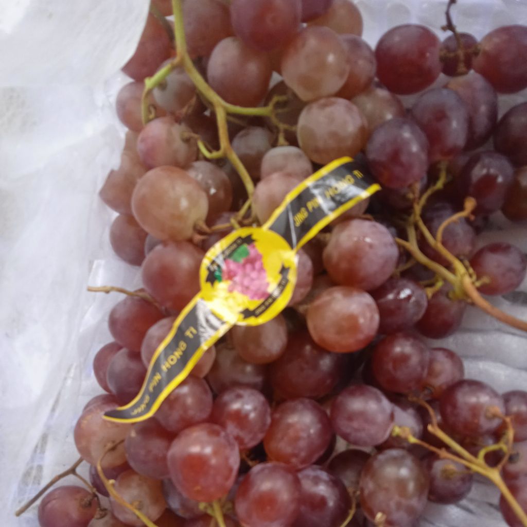 

buah anggur khusus INSTANT 1 kg