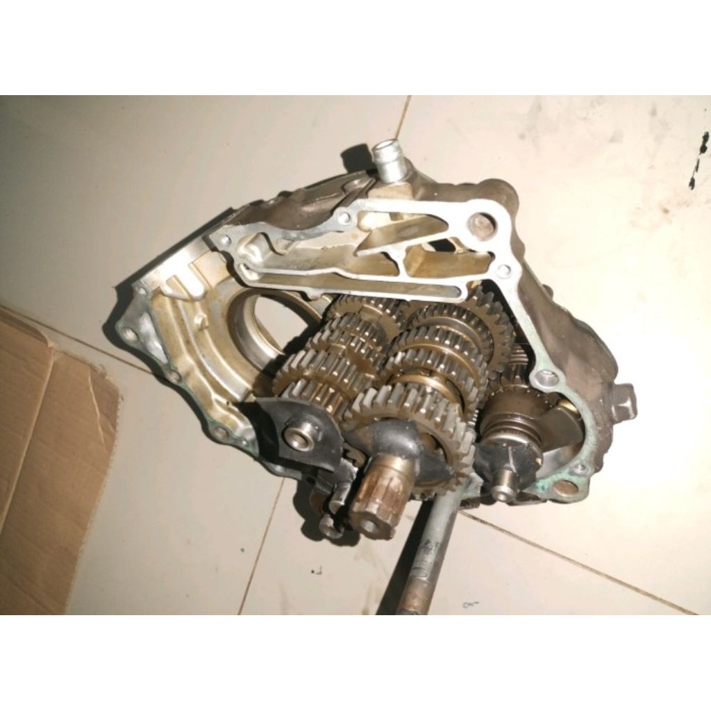 Rasio / speed 6 Tiger Revo 2009