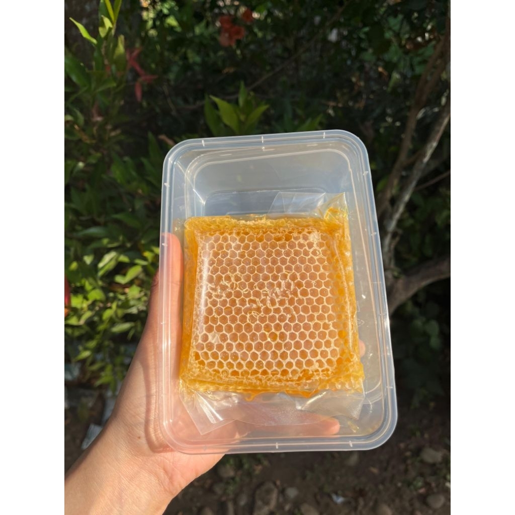 

Sarang madu hutan kemasan 250 ml