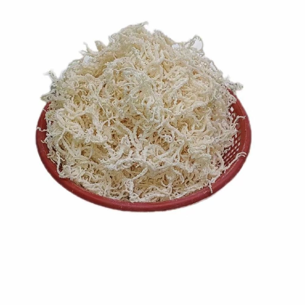 

Rumput Laut spinosum Kering 1kg Untuk Es Campur Dan Agar agar