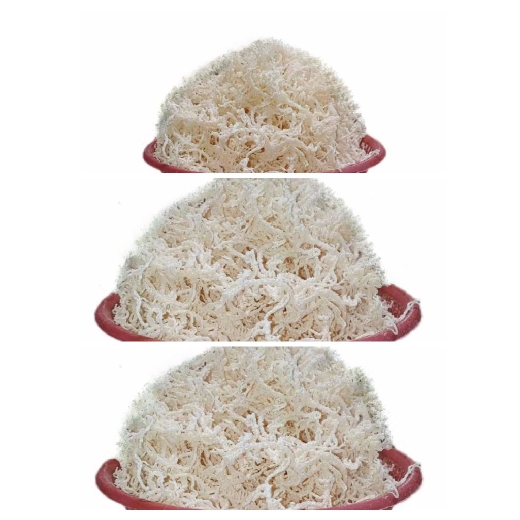 

Rumput Laut Kering 1kg Rasa Tawar Tidak Asin