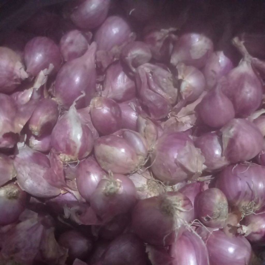

Bawang merah 500 gr