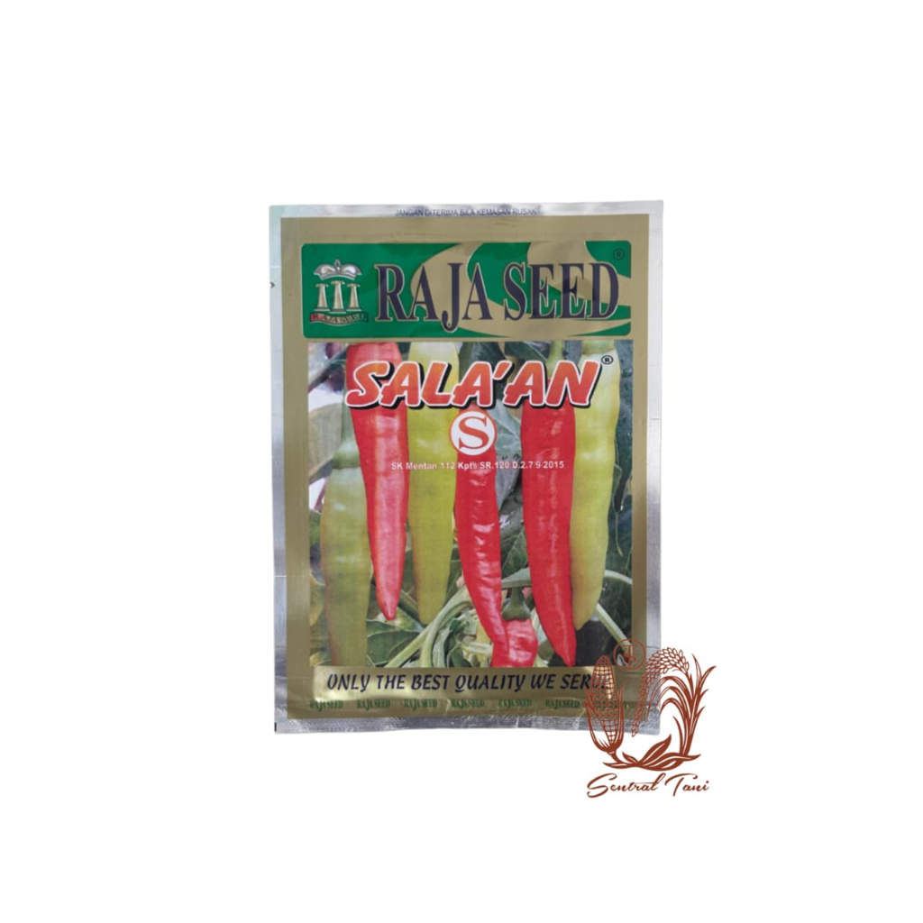 Benih Cabe Rawit Setan SALA’AN 10 Gram - raja seed rawit merah