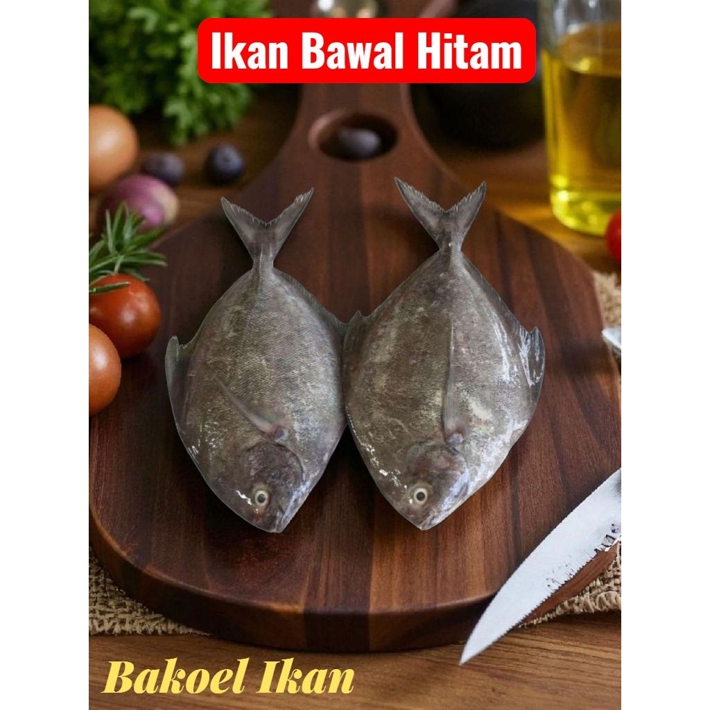

Ikan Bawal Hitam 1 Kg beku Kapal