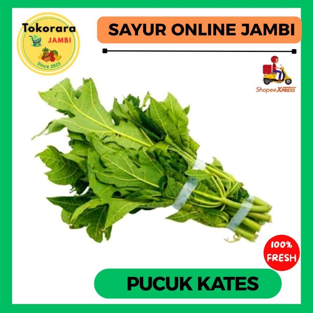 

INSTAN Sayur Pucuk Kates Muda per ikat-tokorara.jambi