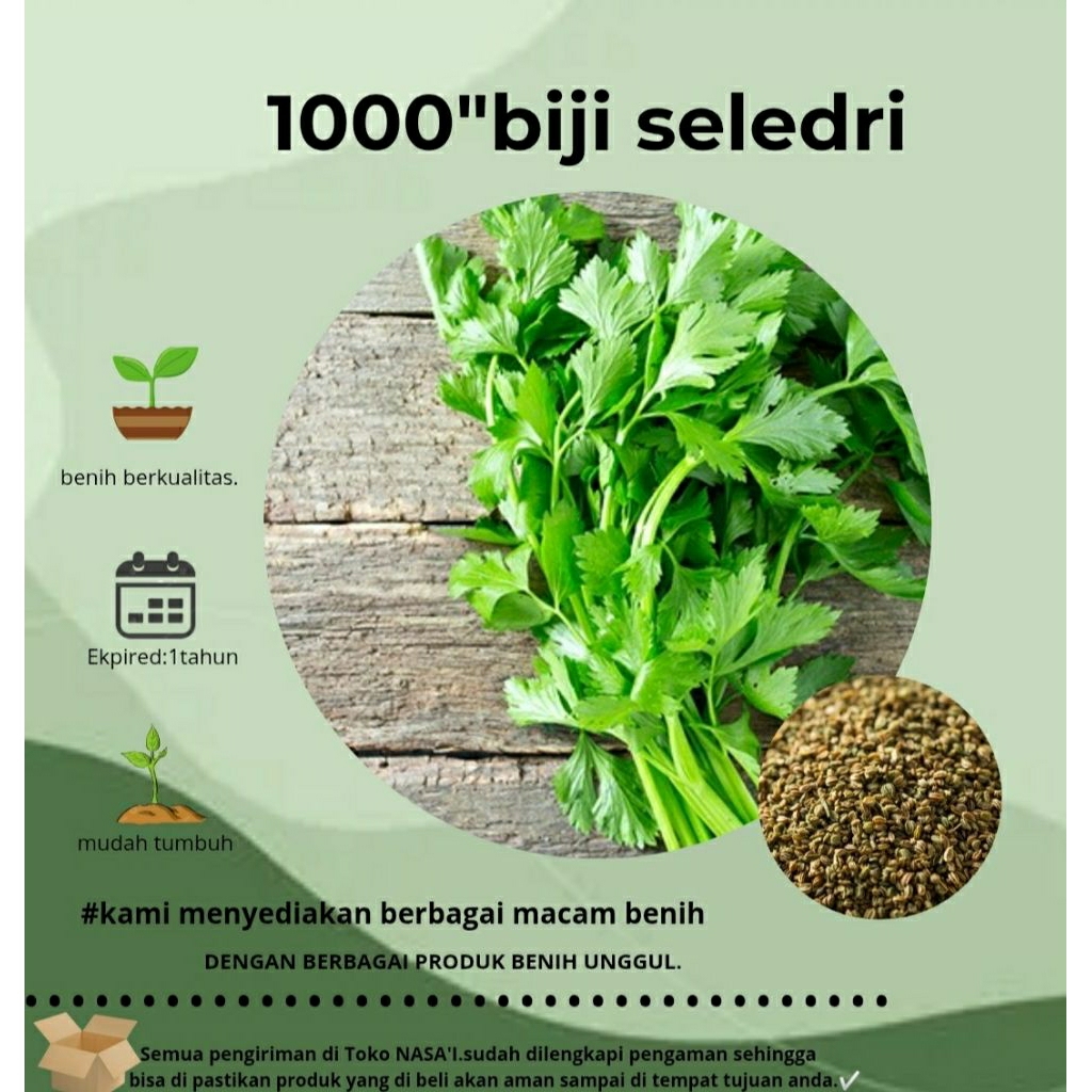 1000:>biji seledri jumbo biji lokal