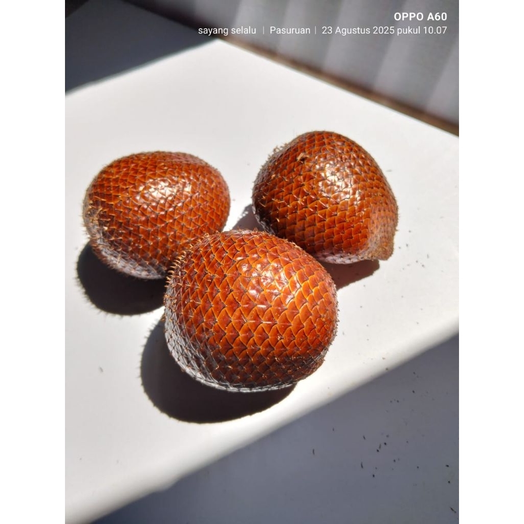 

SALAK MANIS LEGIT MANIS MASAK POHON FRESH