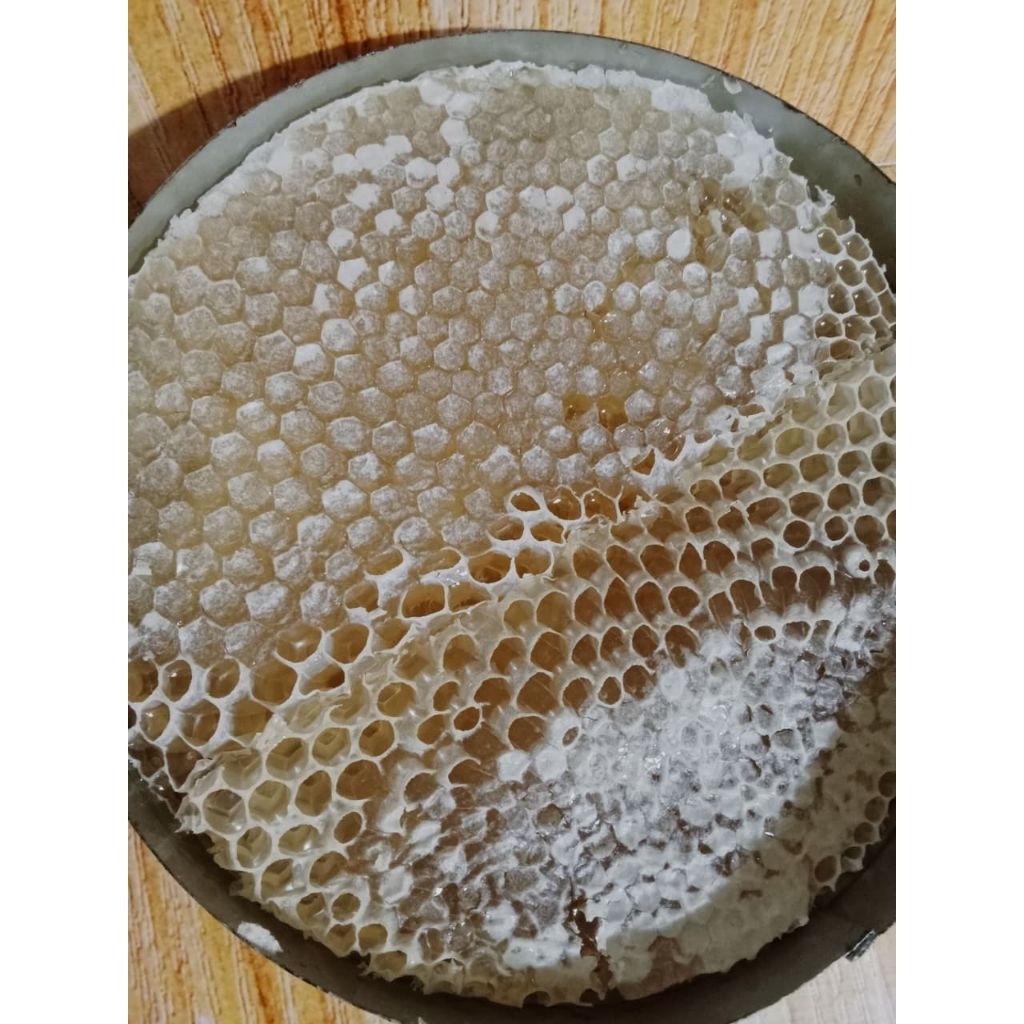 

Sarang lebah Sidr Yaman Kemasan kaleng isi kurleb 850gr-1kg