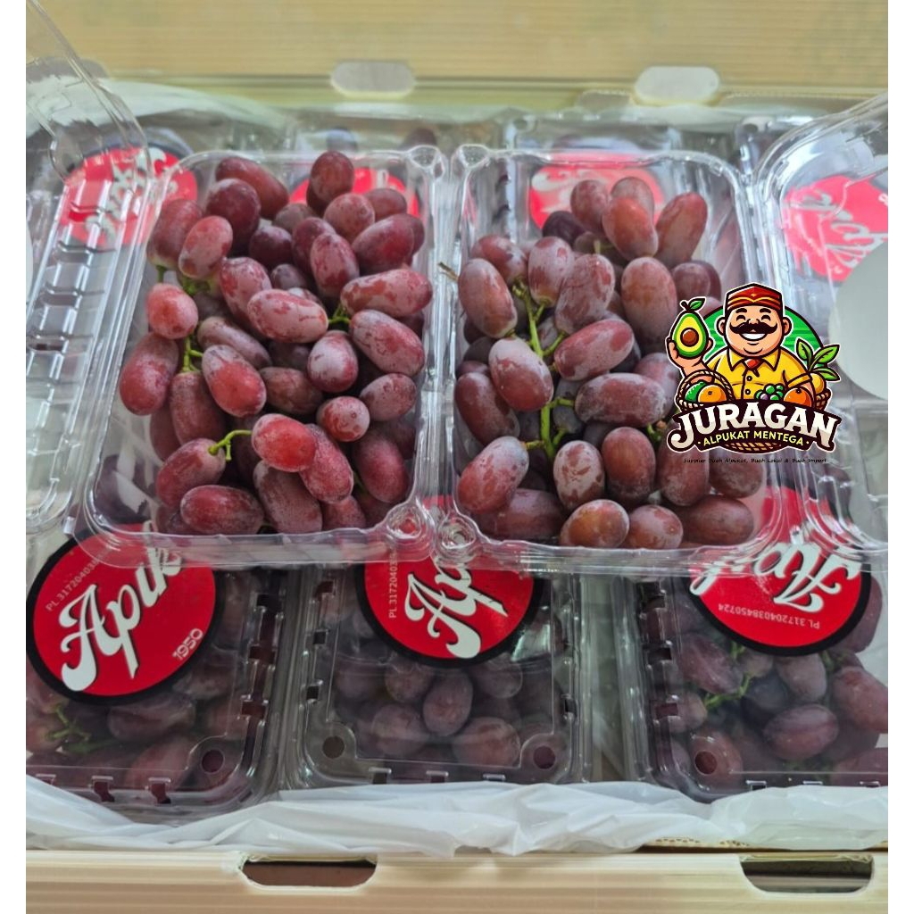 

Anggur Red Seedless Fresh Tanpa Biji / Anggur Red Crimson RRC Fresh Tanpa Biji