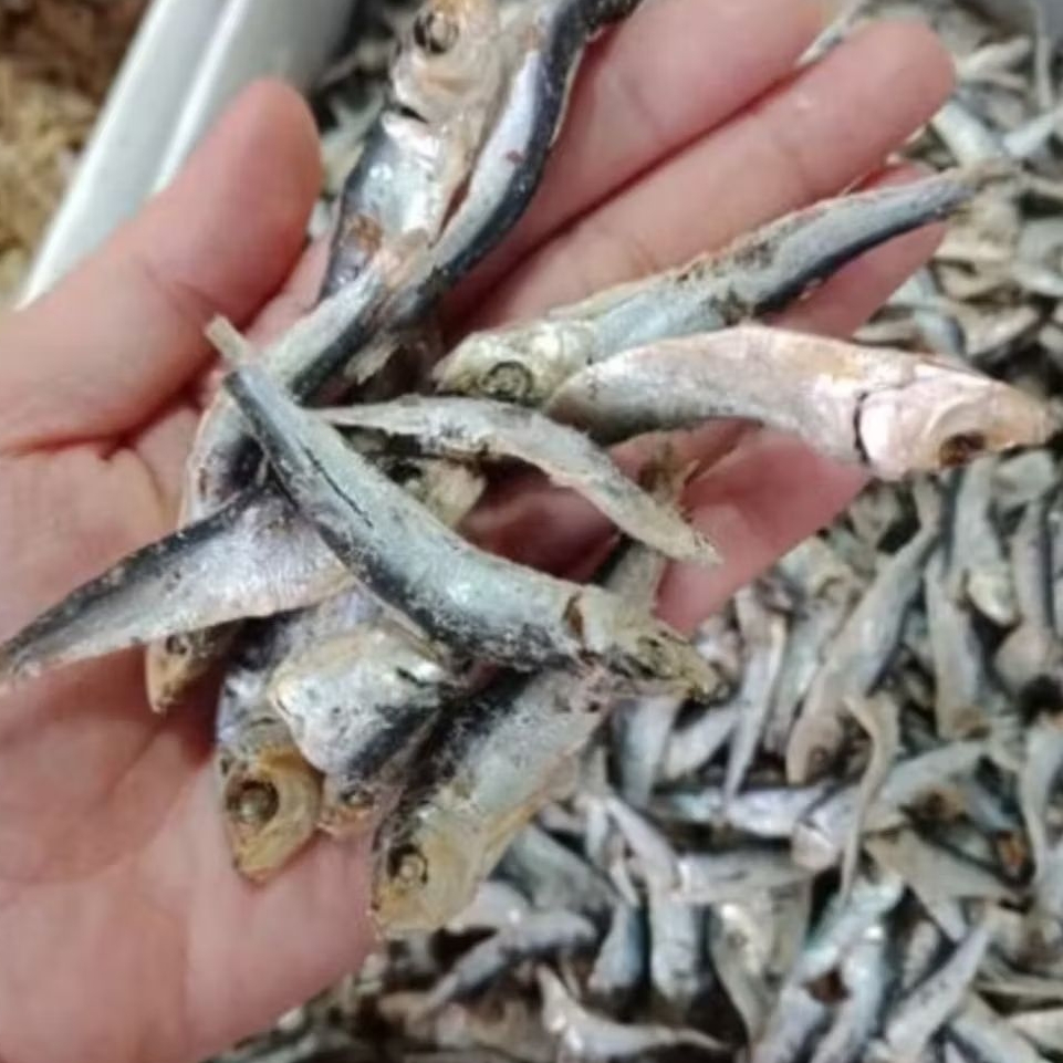 

Ikan Asin KUKUS Hitam 100g Seafood Kering Khas Pontianak