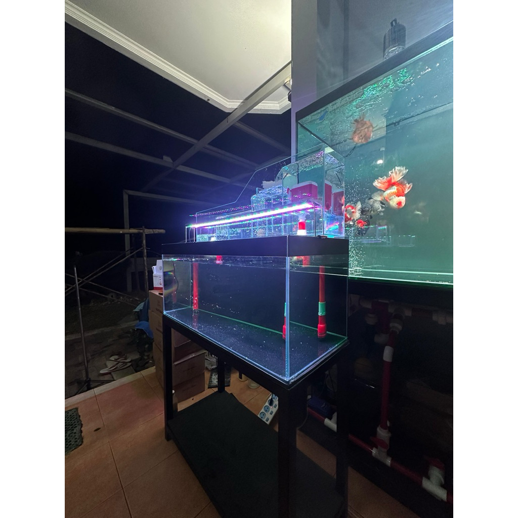 SET Aquarium dengan Top Filter dan Rak Minimalis