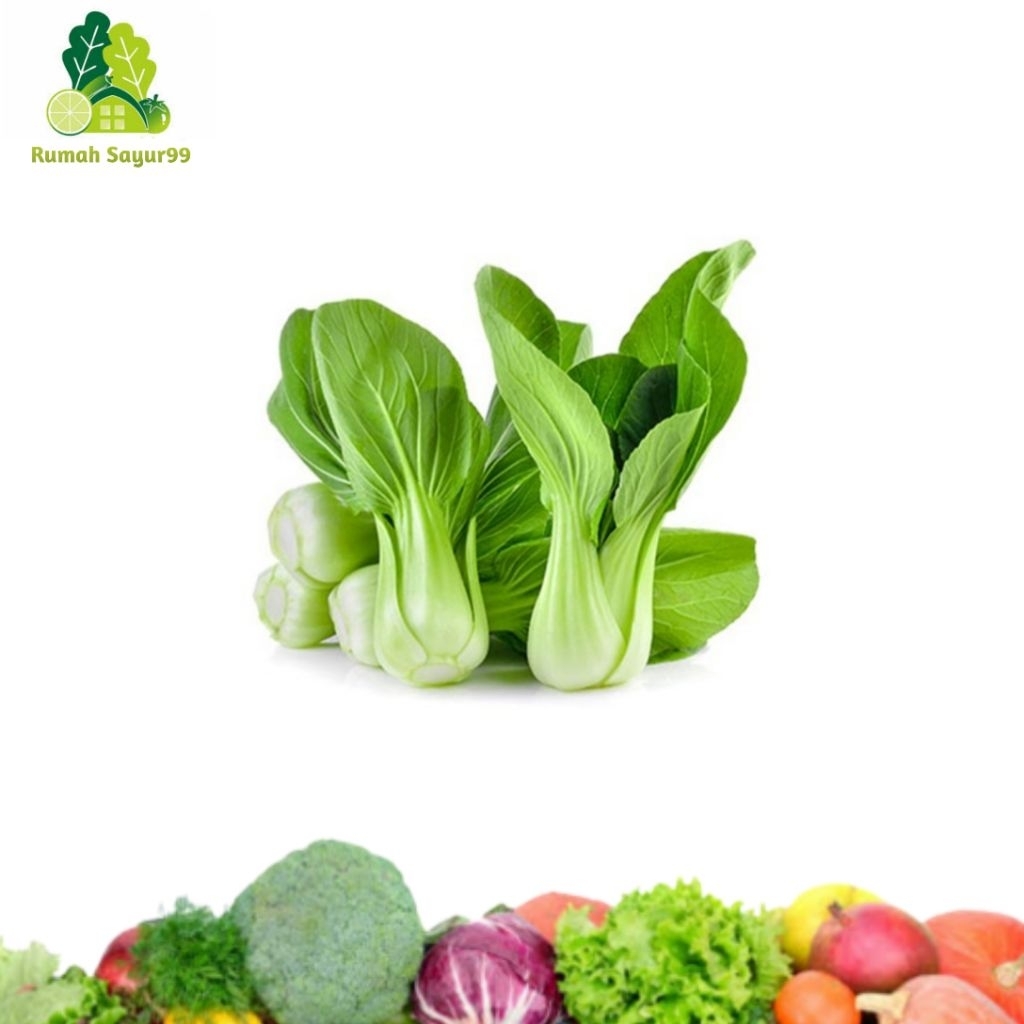 

pakcoy pak choi sawi sendok segar