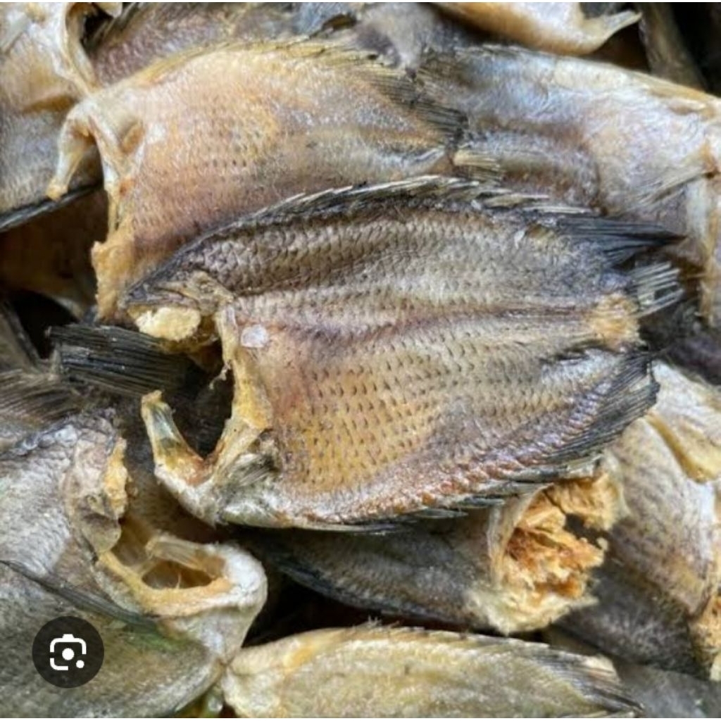 

1 bngks ikan asin sepat