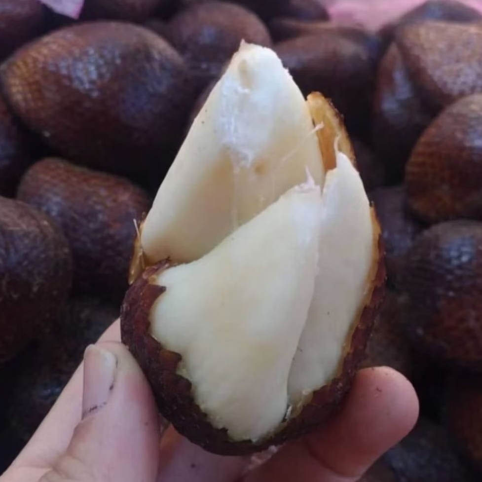 

salak pondoh |salak pondoh manis