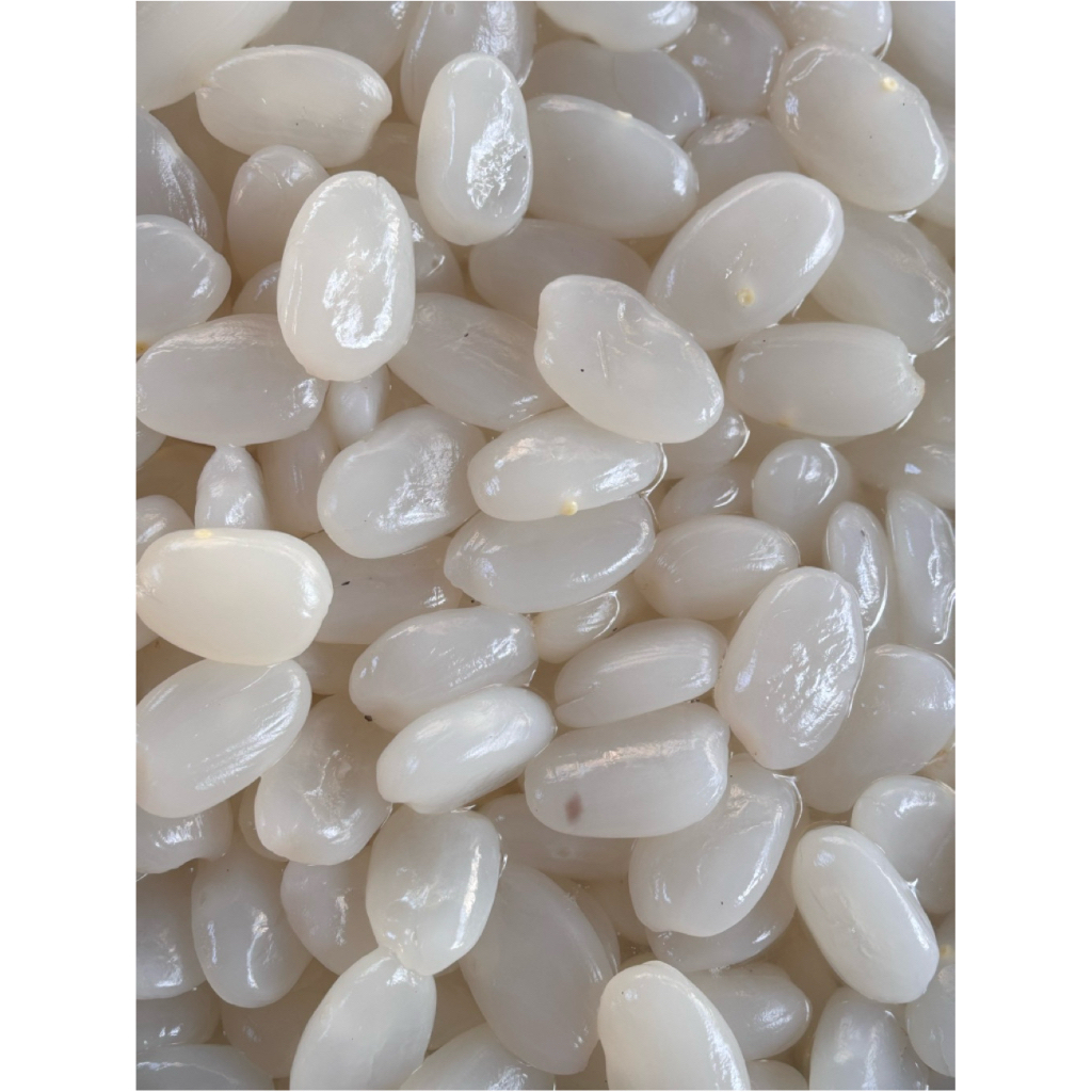 

1 KG KOLANG KALING/CANGKALENG KUALITAS SUPER