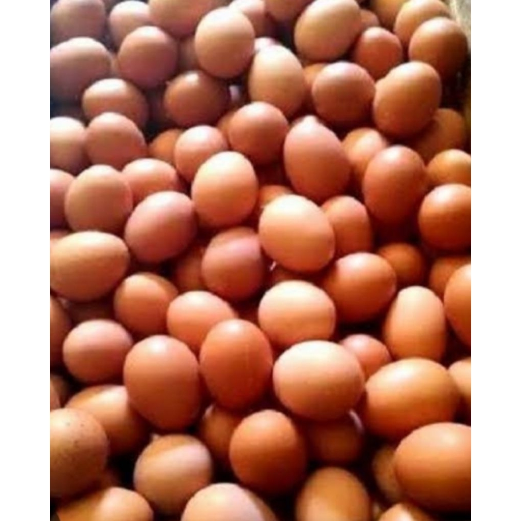 

250g telor ayam negeri