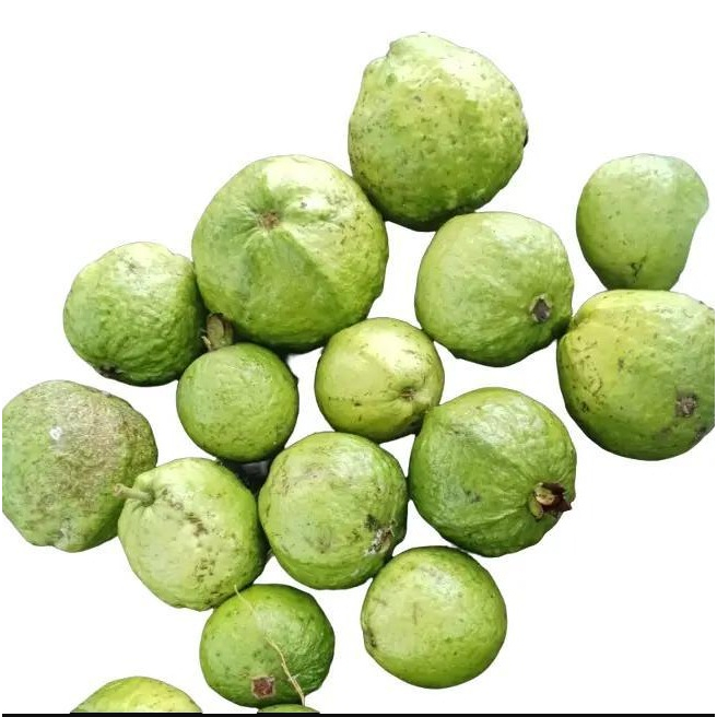 

1 Kg Jambu biji PUTIH / Jambu Klutuk