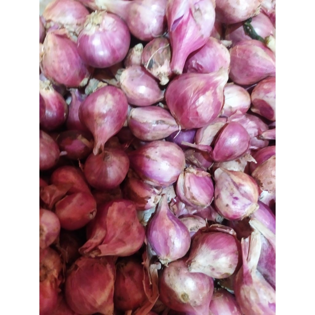 

Bawang Merah Brebes Ori Super