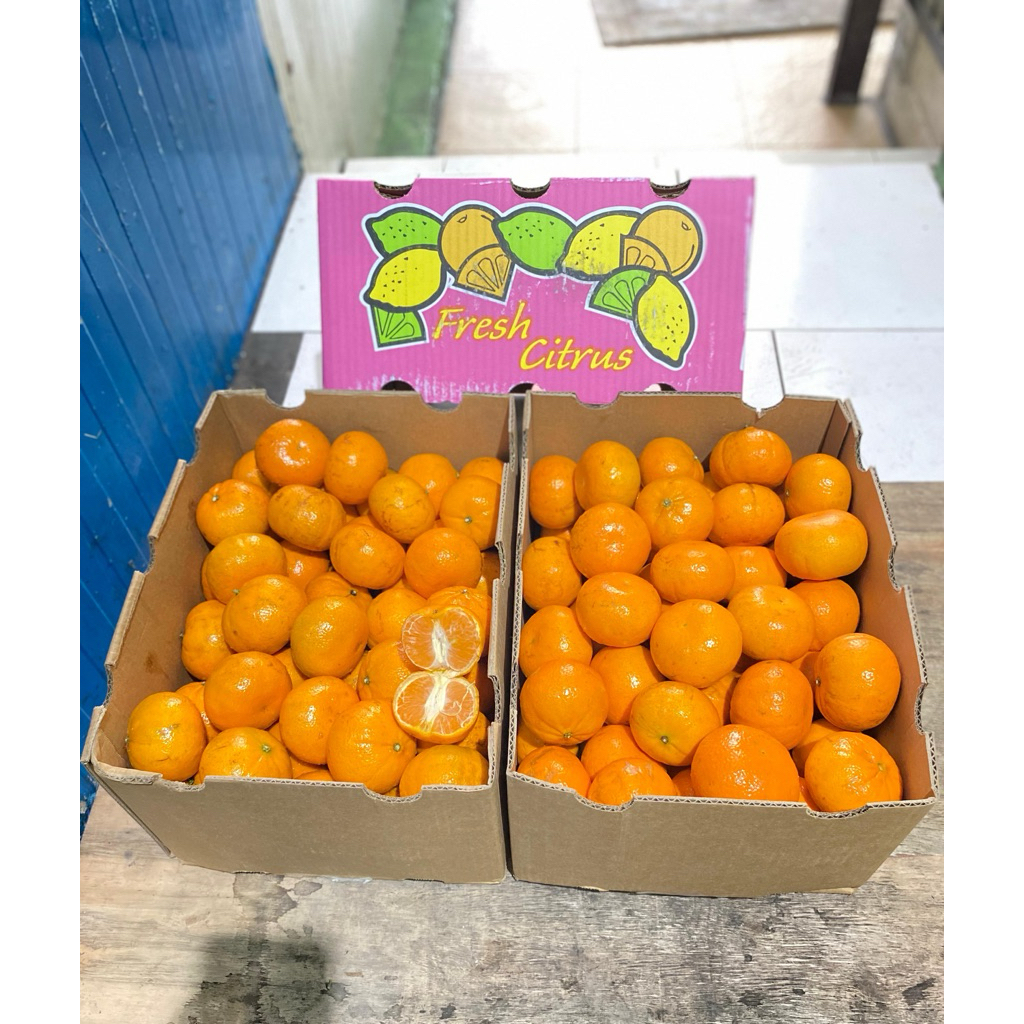 

JERUK HONEY MURCOT IMPORT harga per kg