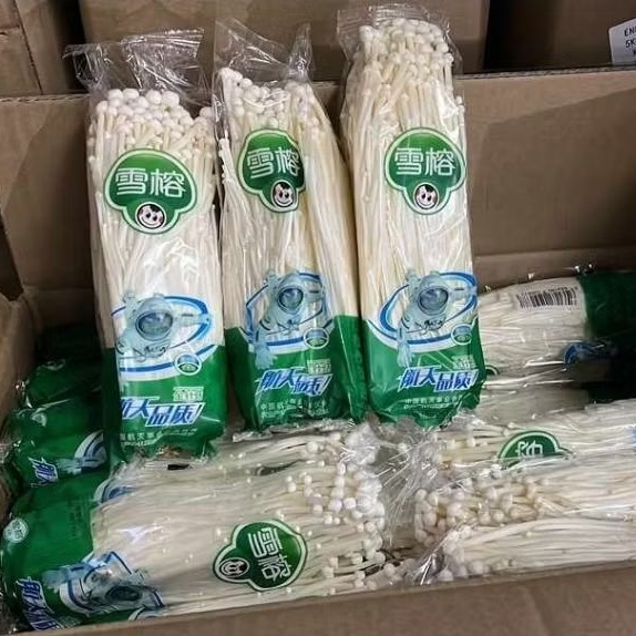 

Jamur enoki 1pack 100gram FreshImport