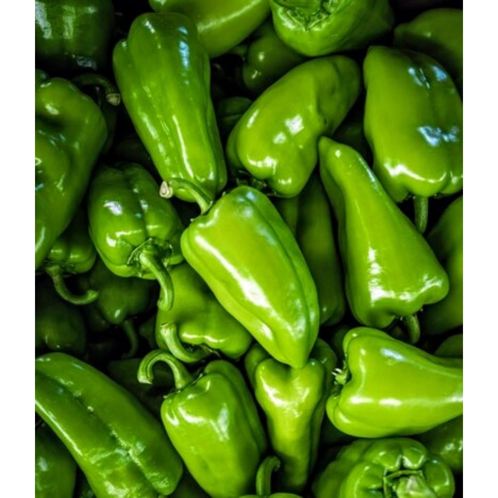 

Cabe Hijau Besar Pedas Pontianak 100 Gram