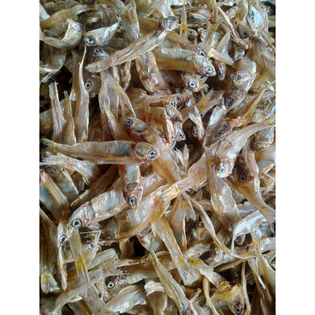 

[COD] TERI JENGKI TAWAR TOTAL RINGAN HALUS/KECIL [ 1 KG ] [ 500 GR ] [ 250GR ]QUALITY SUPER BERSIH HIGIENIS