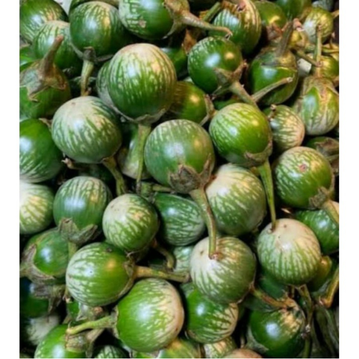 

Terong Hijau Bulat Lalap an -250gr-Sayur omstore