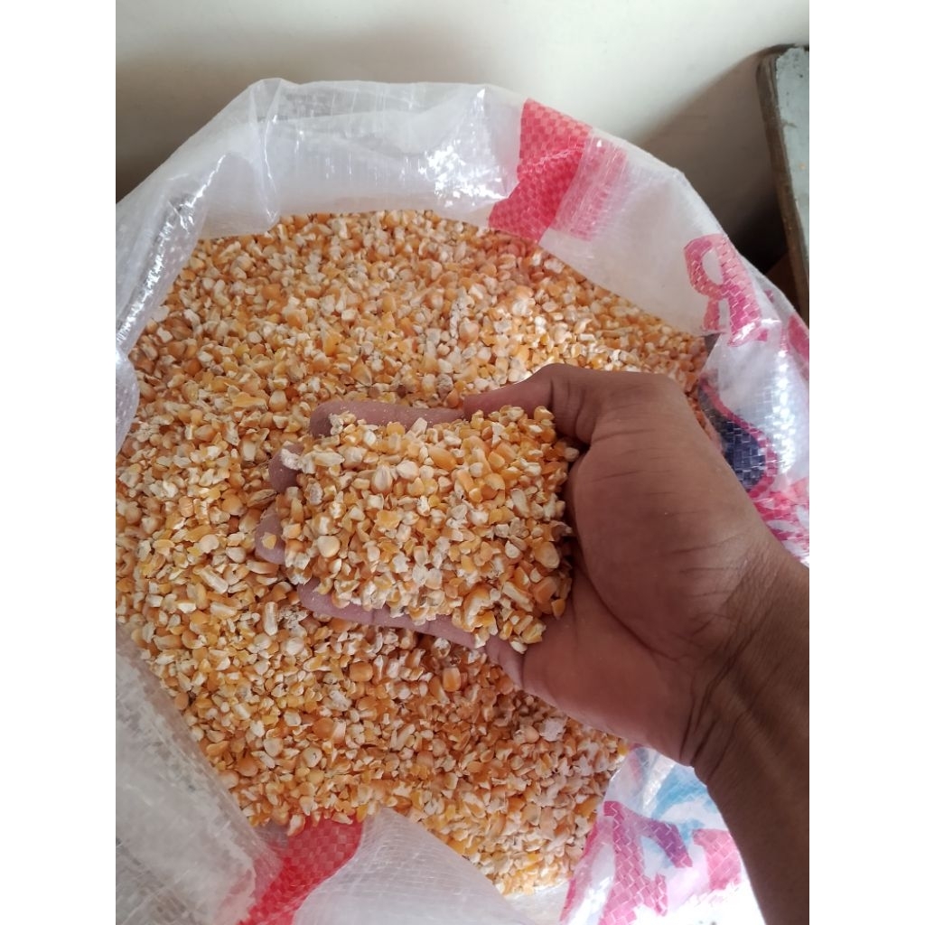 

JAGUNG PECAH KEMASAN EKONOMIS 2 KG DAN 5 KG,100%JAGUNG ASLI TANPA CAMPURAN,KARNA DI OLAH SENDIRI