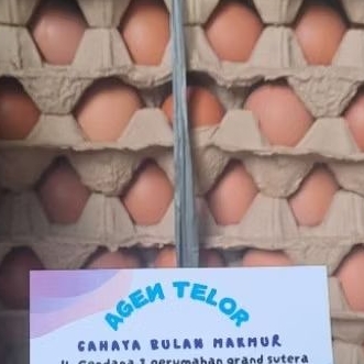 

TELOR AYAM NEGERI 1 IKAT ISI 15 KG