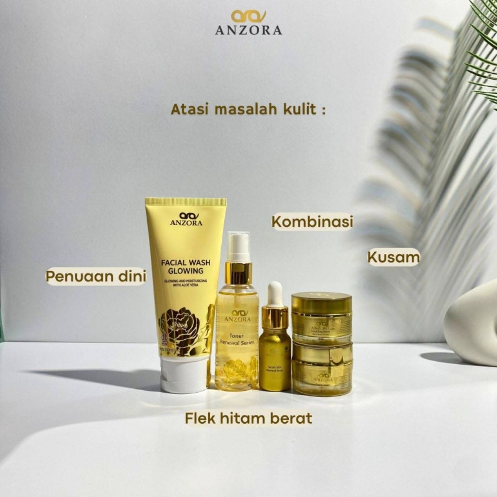 Anzora Renewal series