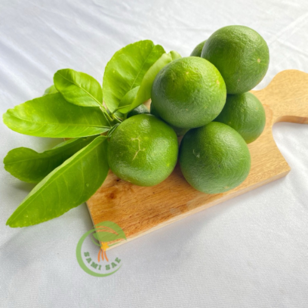 

JERUK NIPIS 1KG FRESH PETIK LANGSUNG