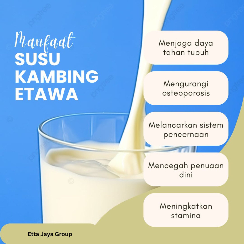

Susu Kambing Etawa Original
