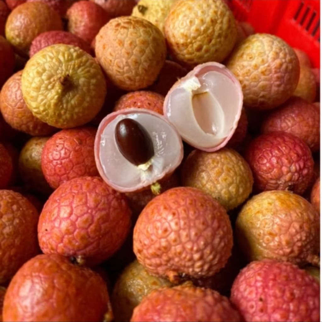 

BUAH LECI MADU MANIS 500 GRAM FRESH