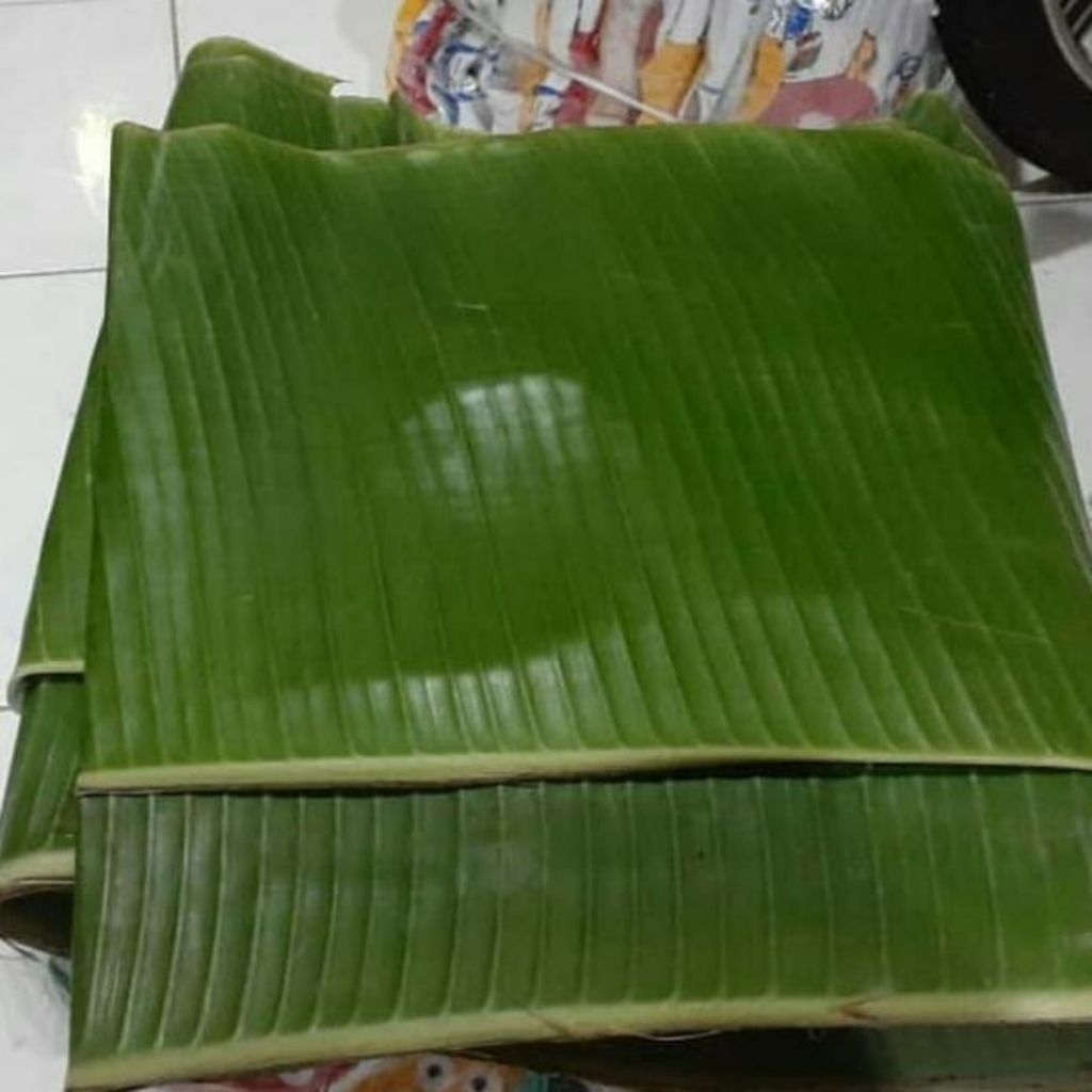 

daun pisang segar 250g