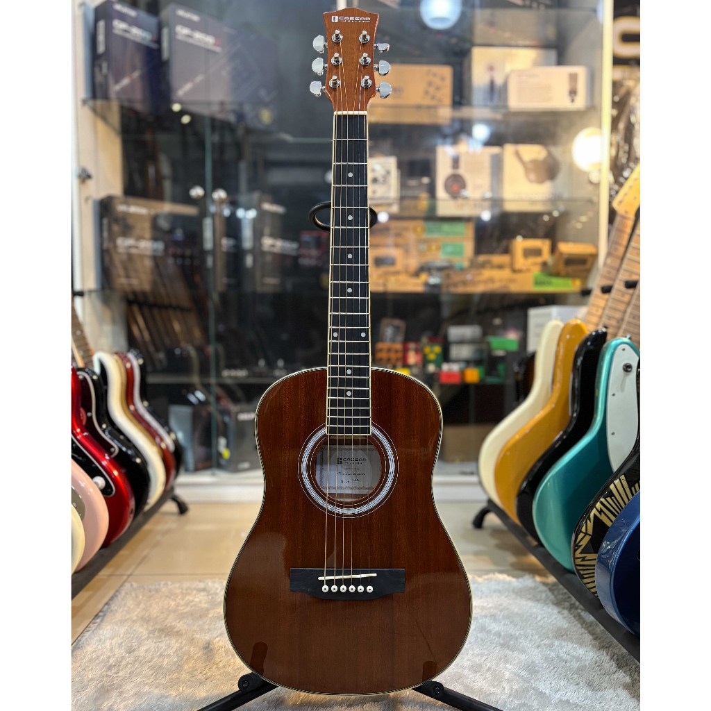 Caesar Julius X-345 akustik gitar 100% original made in china