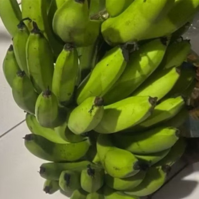 

Buah Pisang Mentah SL Slv Ecr Pisang Bangkaulu