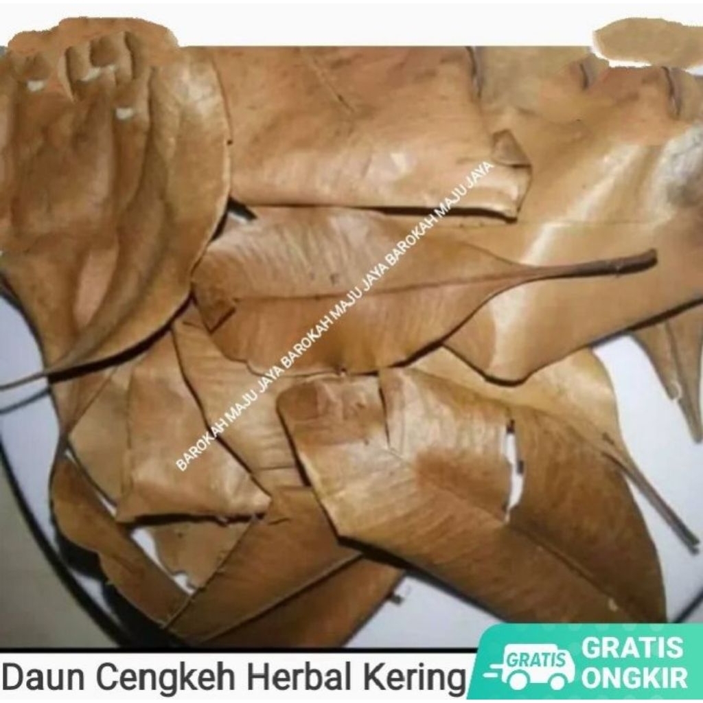 

Daun cengkeh kering 100 gram herbal alami