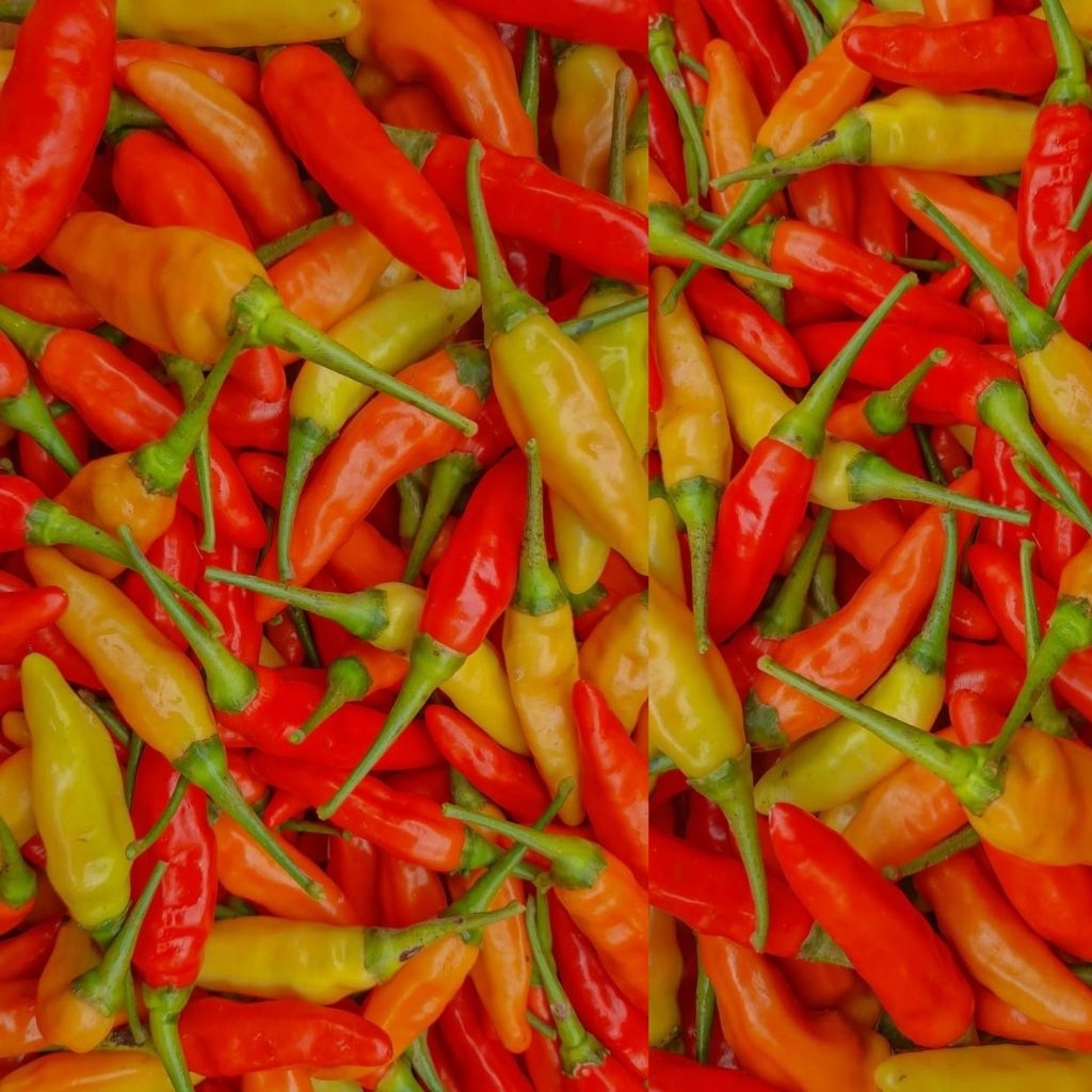 

CRM cabe rawit merah lokal 1kg | lombok kecil | lombok abang cilik | caplak | cengek 1kg fresh | lombok rawit | cabai rawit merah