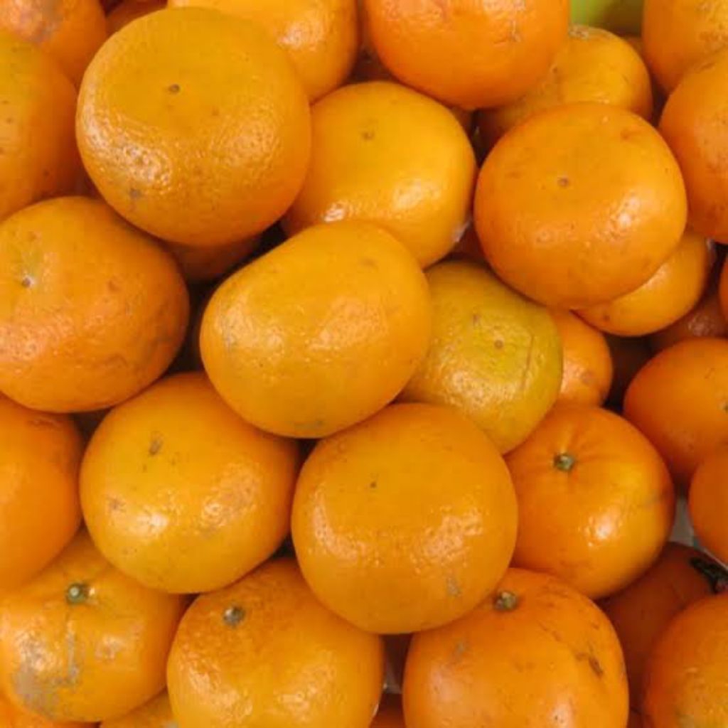 

Buah Jeruk Mandarin Segar 1 kg