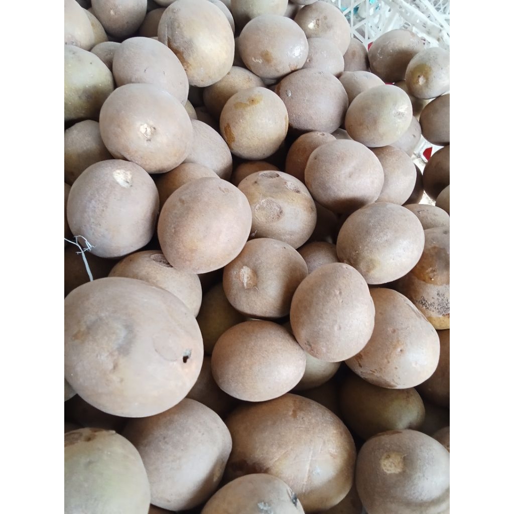 

buah sawo madu satu kg buah segar buah musiman