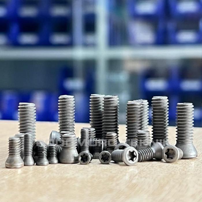 Baut Holder M6X20  Screw Bintang Baut Insert Holder