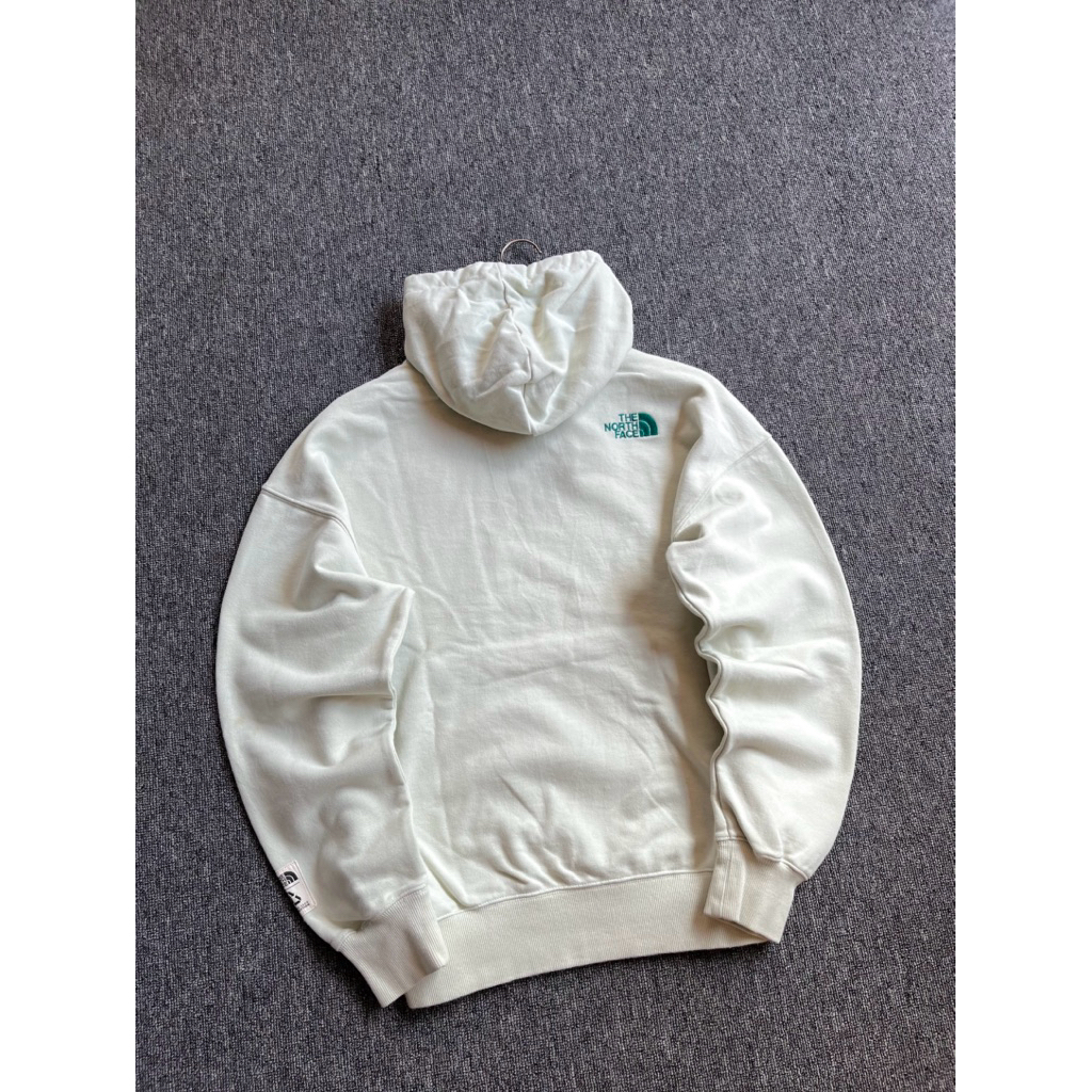 hoodie tnf the north face second